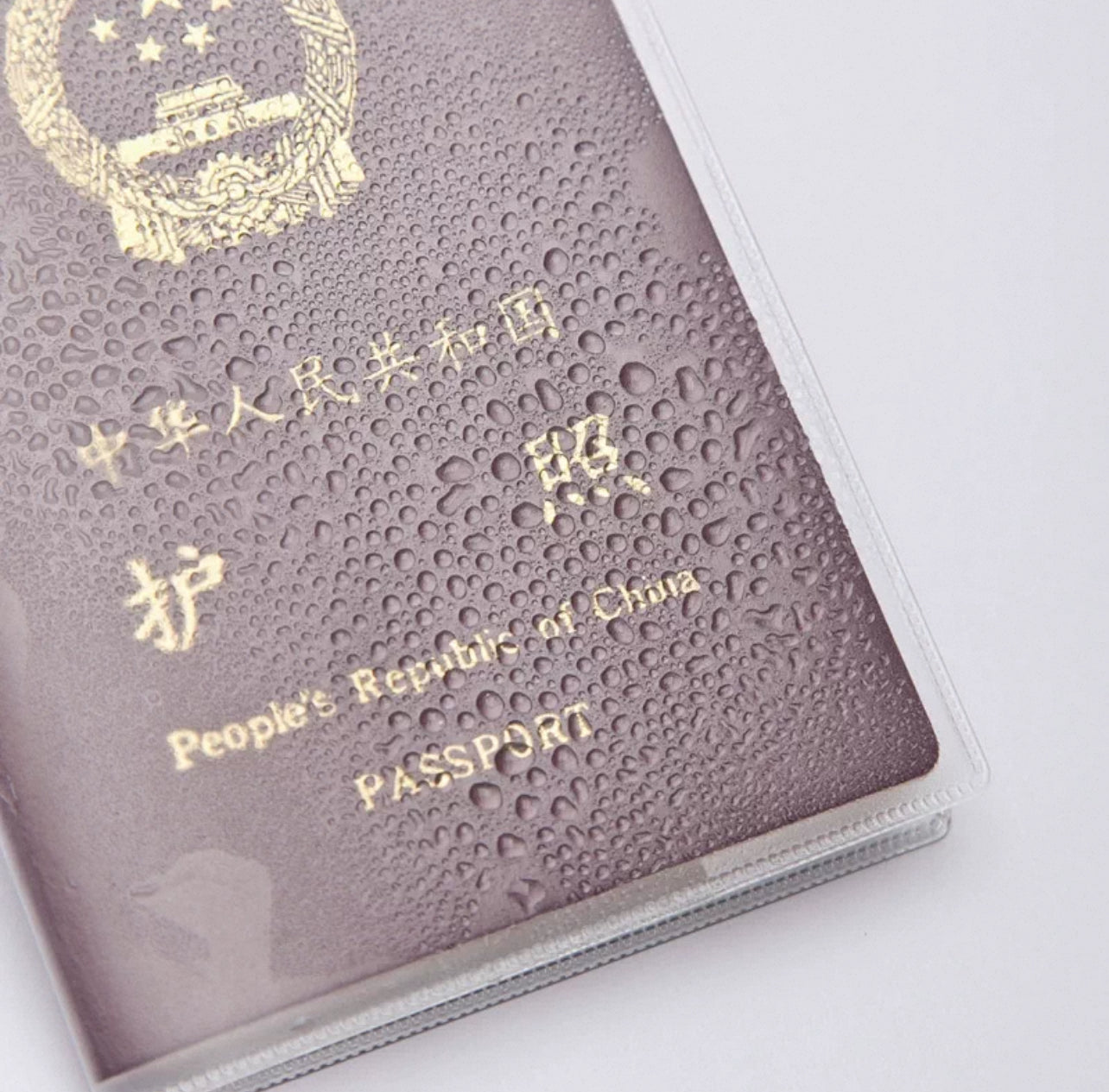 Passport Holder Wholesale Bulk Pack | Travel Passport Protector Cover | Clear & Matte Mixed Style | 50 / 100 / 200 / 500 pcs